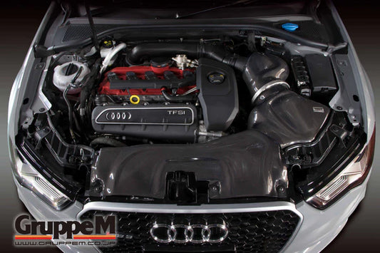 Audi RS3 8V 8V.5 Gruppe M Carbonfaser-Ansaugsystem