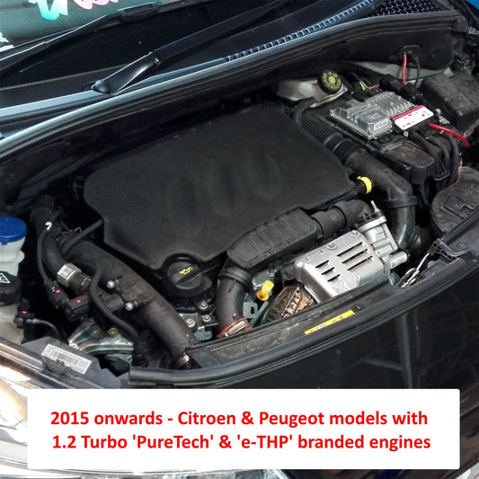 Ramair Black Ramair Air Filter Induction Intake Kit for Citroen DS3 & DS4 1.2 THP & VTI 110/130 & Peugeot 208 & 308 1.2 THP 110/130