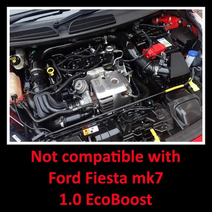 Ramair Black Ramair Induction Kit for Ford Fiesta MK8 1.0 Ecoboost 2017 onwards