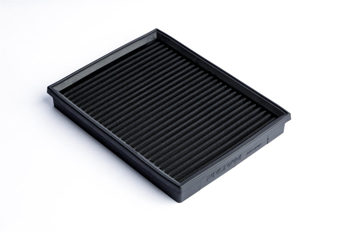 Ramair PPF-9791 - Ramair Proram Mercedes Nissan Replacement Pleated Air Filter