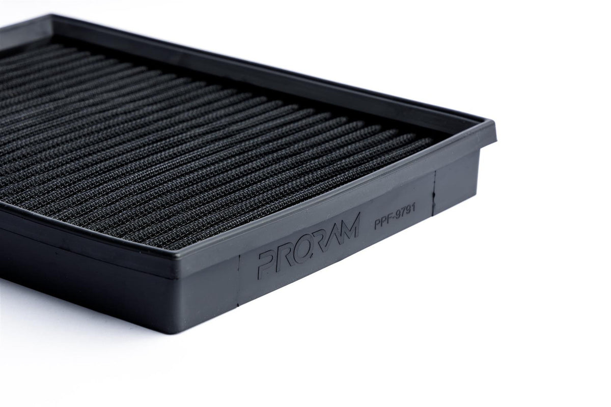 Ramair PPF-9791 - Ramair Proram Mercedes Nissan Replacement Pleated Air Filter