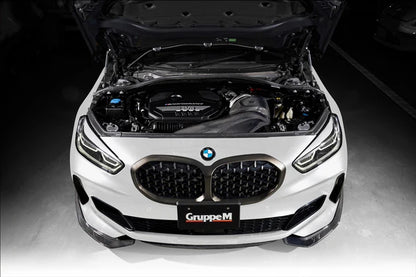 BMW M235i xDrive F44 Gruppe M Carbon Fiber Intake System