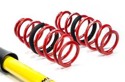 MTS Technik coilover suspension Ford FIESTA VII (HJ/HF)