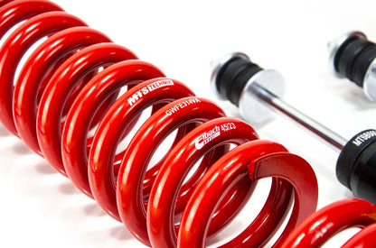 MTS Technik coilover suspension Mercedes-Benz S-CLASS (W126)
