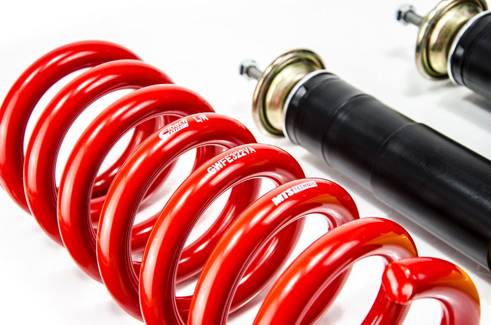 MTS Technik coilover suspension Mercedes-Benz S-CLASS (W140)