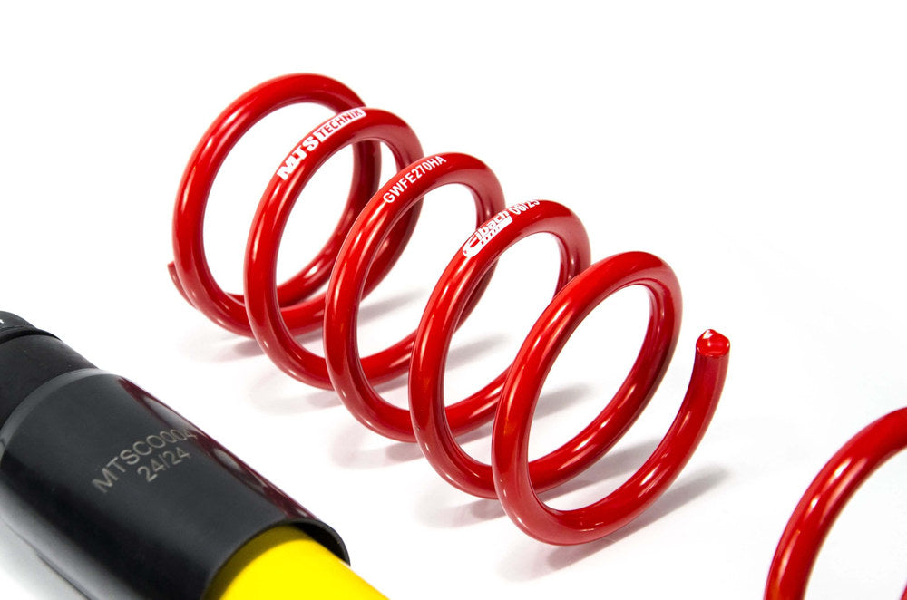 MTS Technik coilover suspension Renault CLIO IV Grandtour (KH)