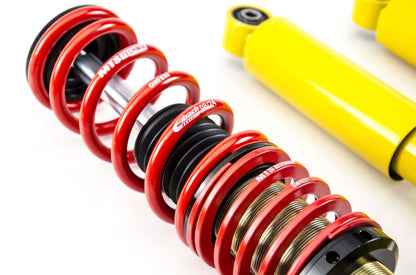 MTS Technik coilover suspension Volkswagen PASSAT B1 (32)