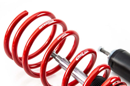 MTS Technik coilover suspension BMW 3 Compact (E36)