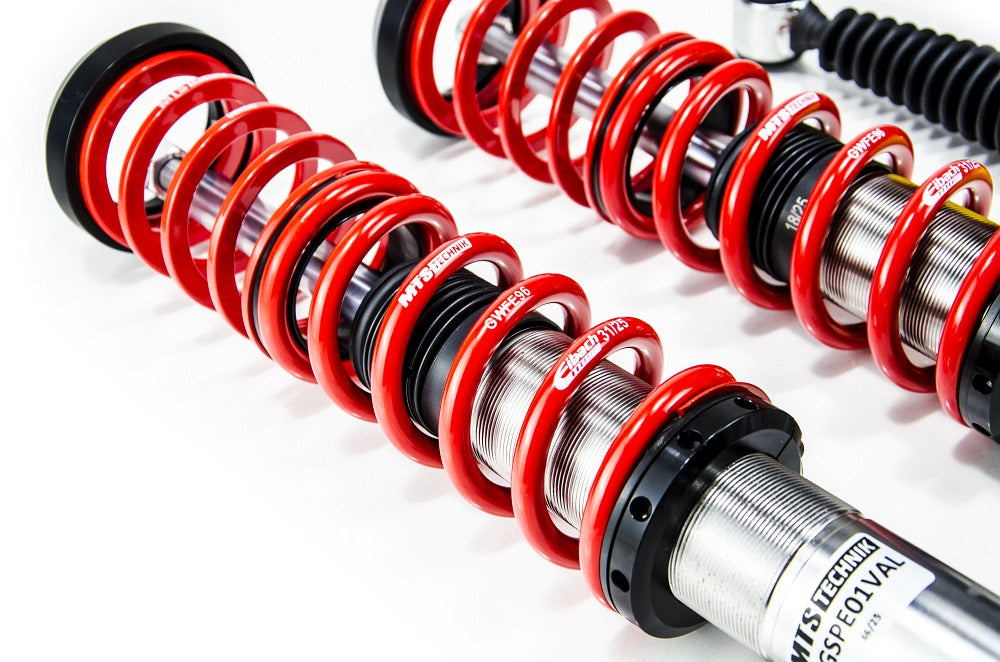 MTS Technik coilover suspension Peugeot 206 Saloon