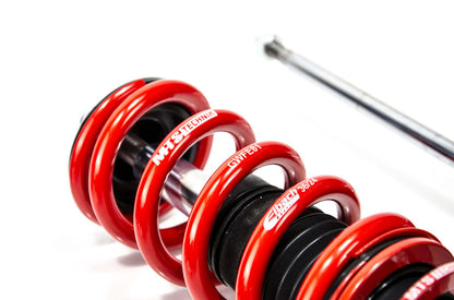 MTS Technik coilover suspension Audi A3 (8L)