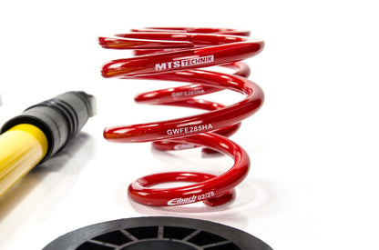 MTS Technik coilover suspension Audi A3 (8L)