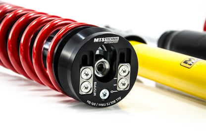 MTS Technik coilover suspension Seat AROSA (6H)