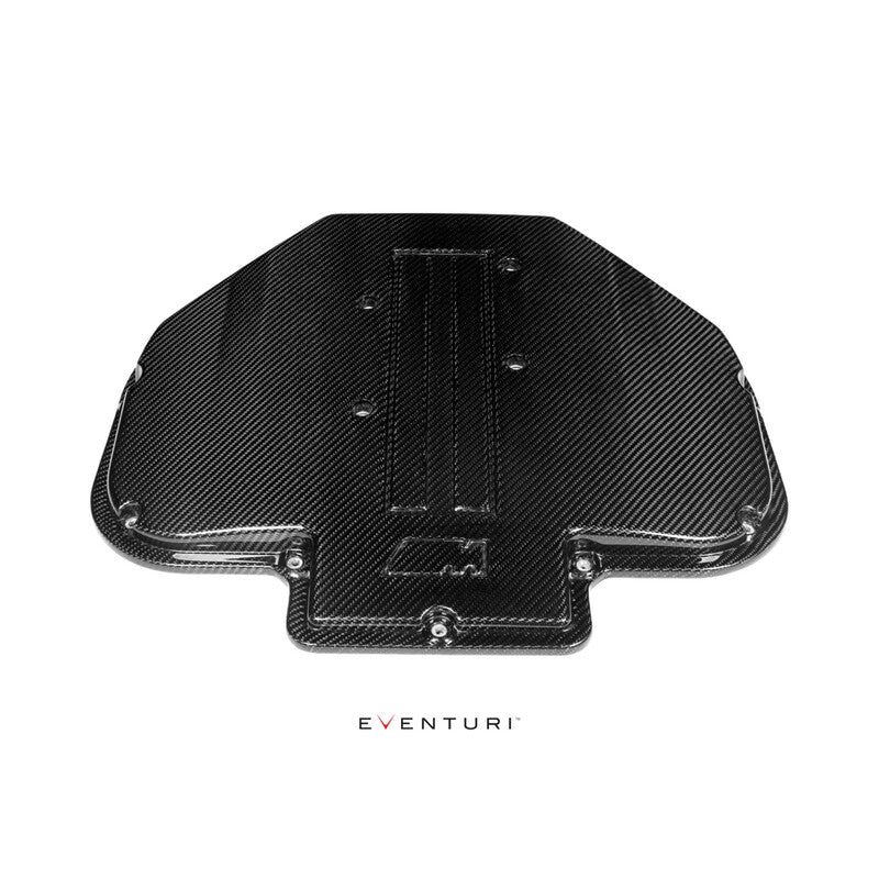 Eventuri Carbon Plenum Cover for BMW Z8 S62
