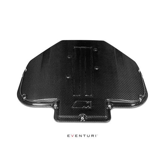 Eventuri Carbon Plenum Cover for BMW Z8 S62